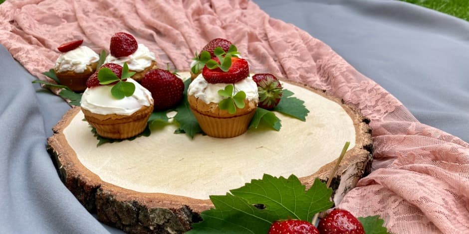 TievĒdot Maija projekts