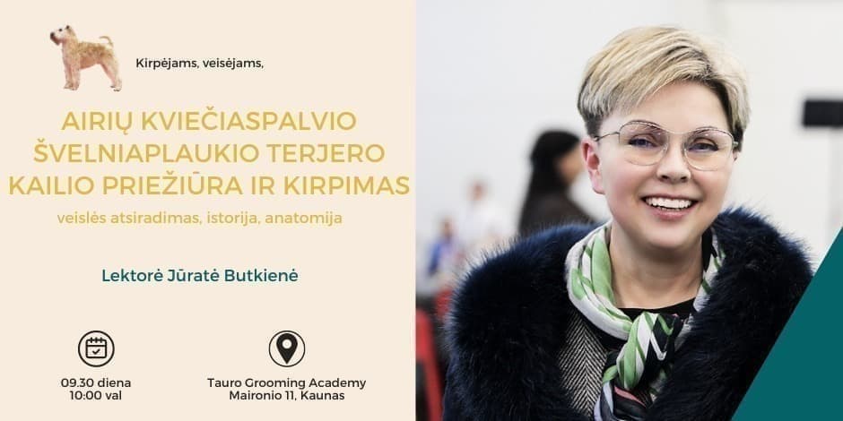 AIRIŲ KVIEČIASPALVIO ŠVELNIAPLAUKIO TERJERO KAILIO PRIEŽIŪRA IR KIRPIMAS