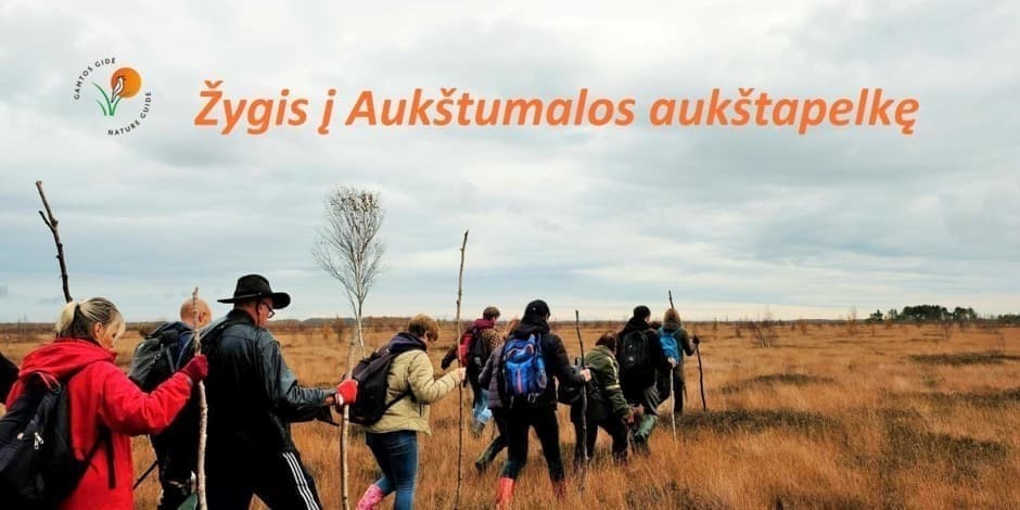 Žygis į Aukštumalos aukštapelkę