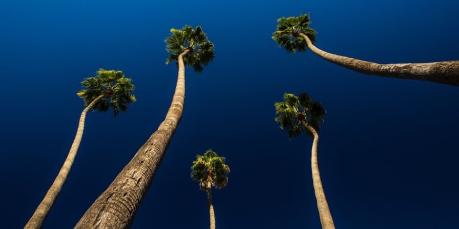 LOS SECRETOS DE PABLO | Tamsta