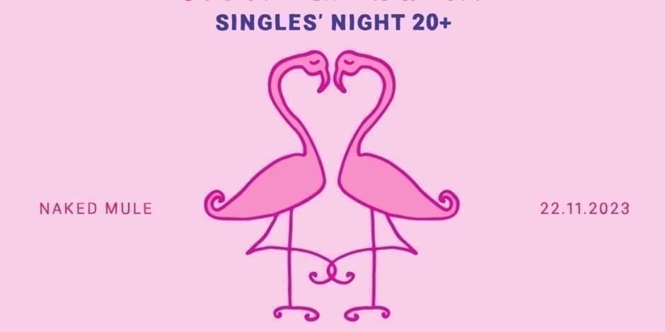 Social Experiment: SINGLES' NIGHT 20+