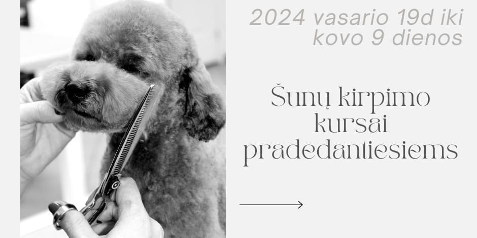 Šunų kirpimo kursai pradedantiems