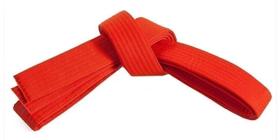 Registracija į 10 KYU (Oranžinio diržo) egzaminą