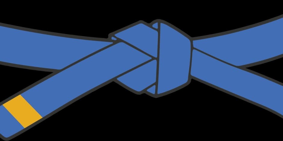 Registracija į 7 KYU (Mėlyno diržo su geltona juostele) egzaminą