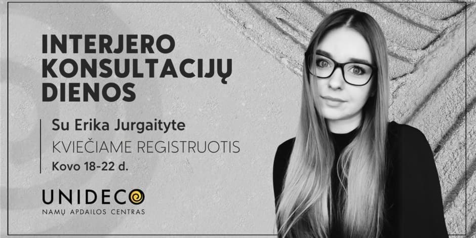 Interjero konsultacijos su dizainere Erika Jurgaityte