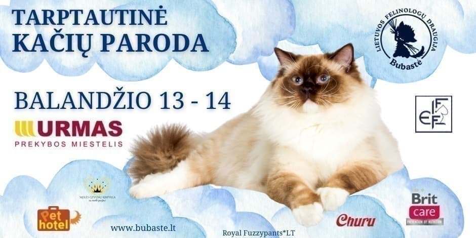 Tarptautinė kačių paroda „Kaunas spring show“