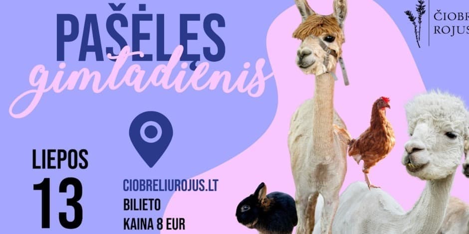 Pašėlęs 3 metų gimtadienis