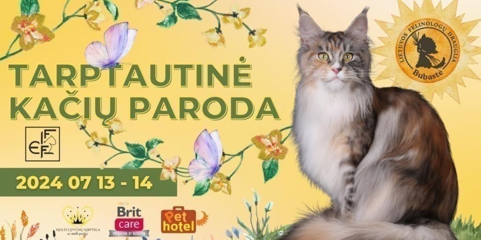 Tarptautinė kačių paroda " Kačių vasara"