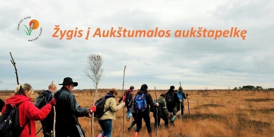 Žygis į Aukštumalos aukštapelkę