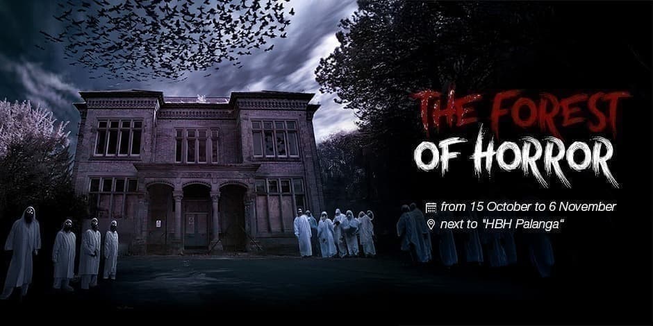 Forest of Horror: an adventure in a former psychiatric hospital