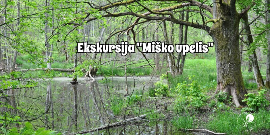 Ekskursija "Miško upelis"