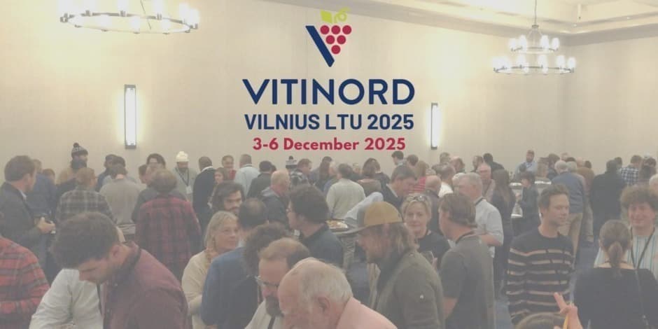 Vitinord 2025 Vilnius