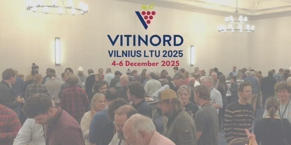 Vitinord 2025 Vilnius