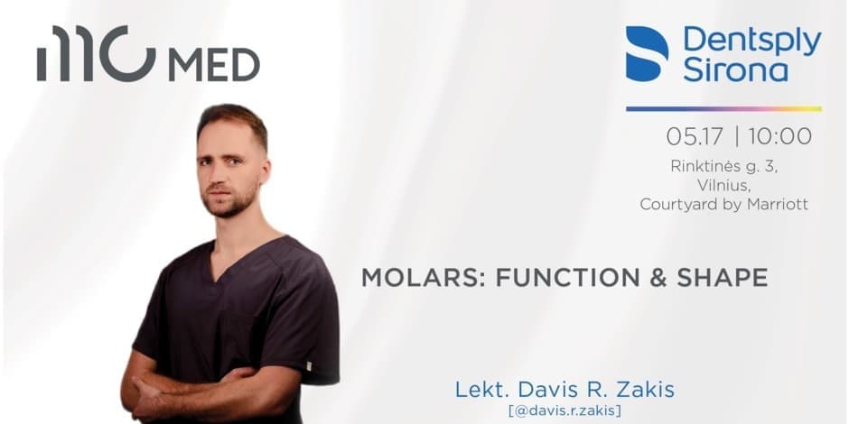 MOLARS: FUNCTION and Shape