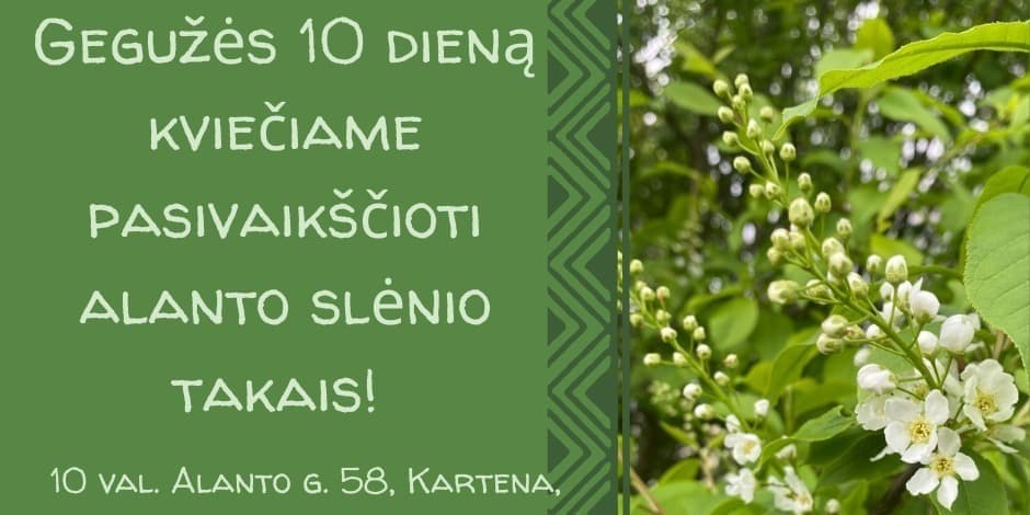 ALANTO SLĖNIO TAKAIS