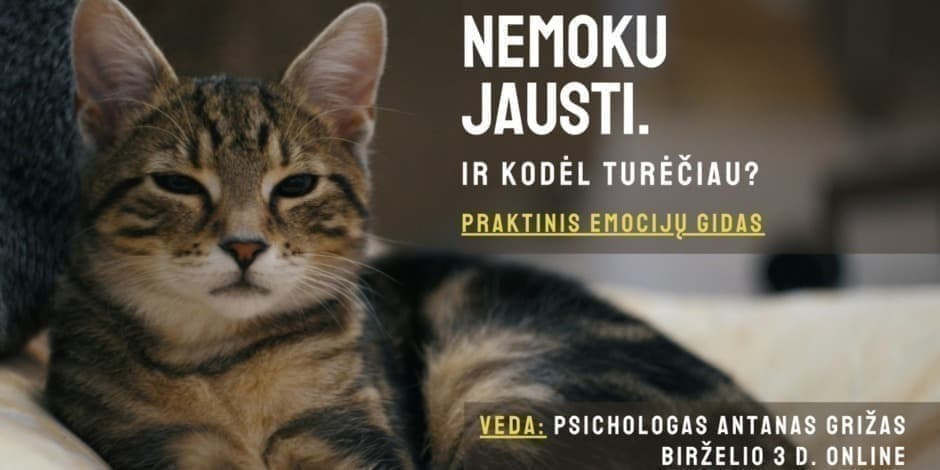 Nemoku jausti – ir kodėl turėčiau? | Praktinis emocijų gidas
