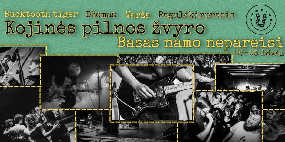 Kojinės Pilnos Žvyro: Džemas x Bucktooth Tiger x Varža x pagulėkirpraeis