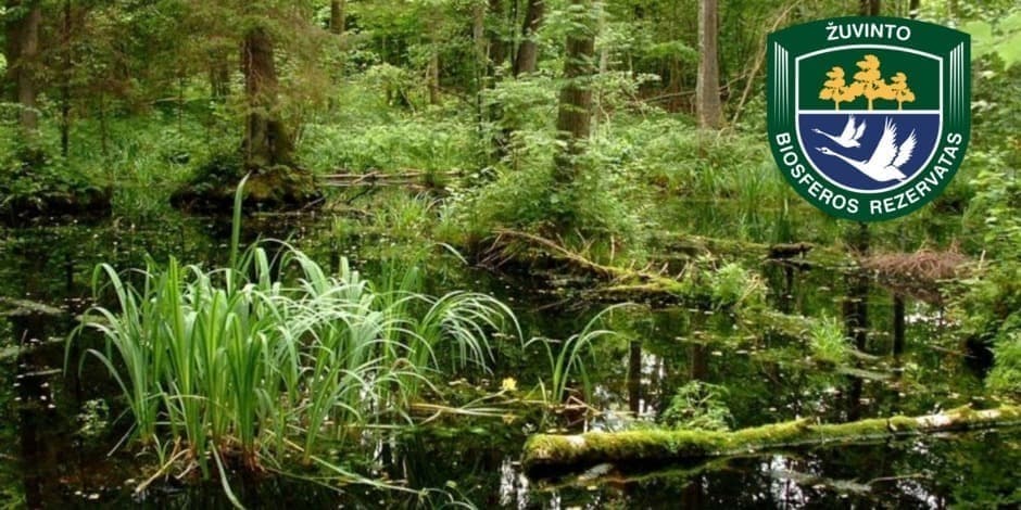 Pėsčiųjų žygis „Senuoju keliu – Grįstakeliu“ Žuvinto biosferos rezervate