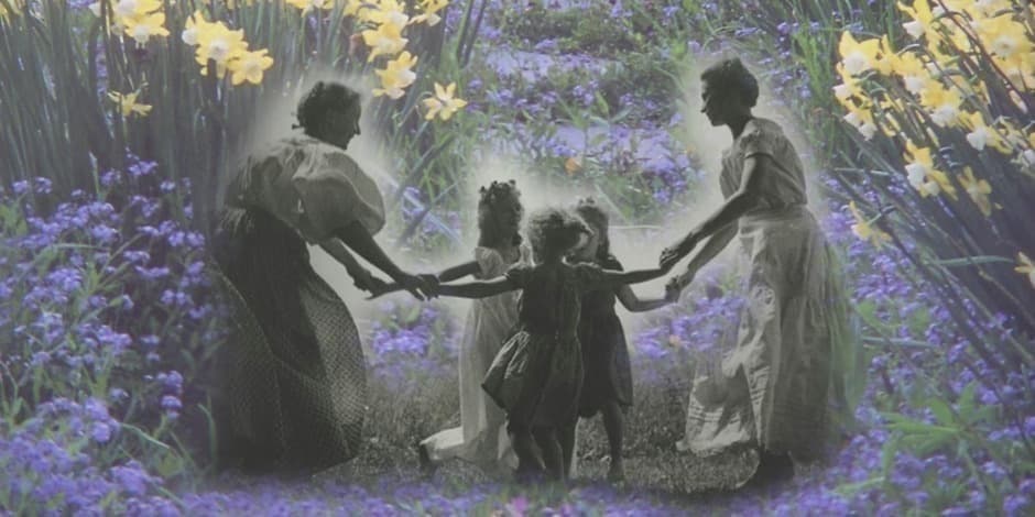 Rojus Žemėje. Gyvenimas pagal Tašą Tiudor