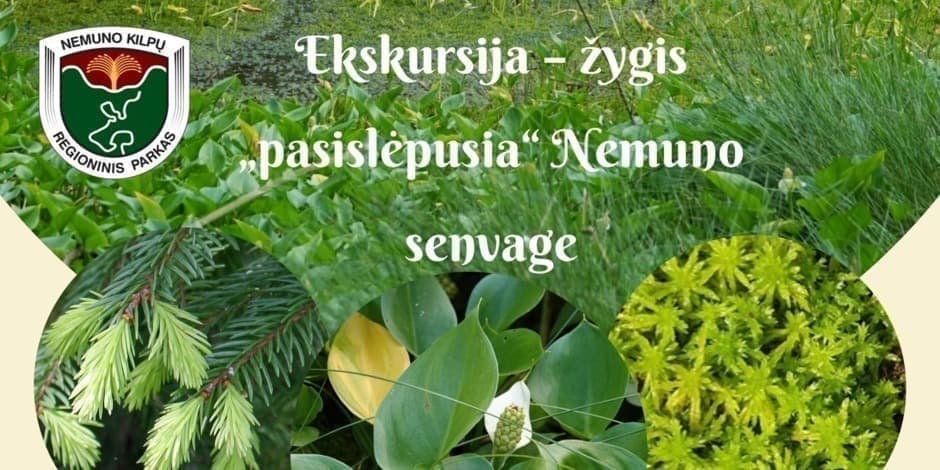Žygis – ekskursija „pasislėpusia“ Nemuno senvage