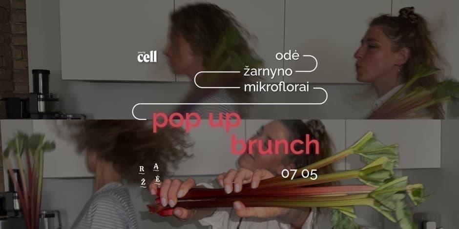 YOUNGCELL | Pop up brunch