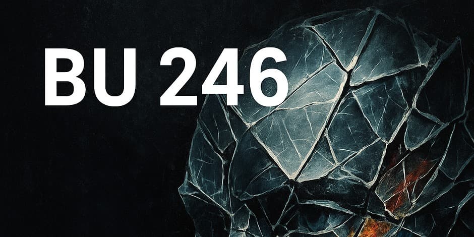 BU 246 Vyganto Navicko Paroda