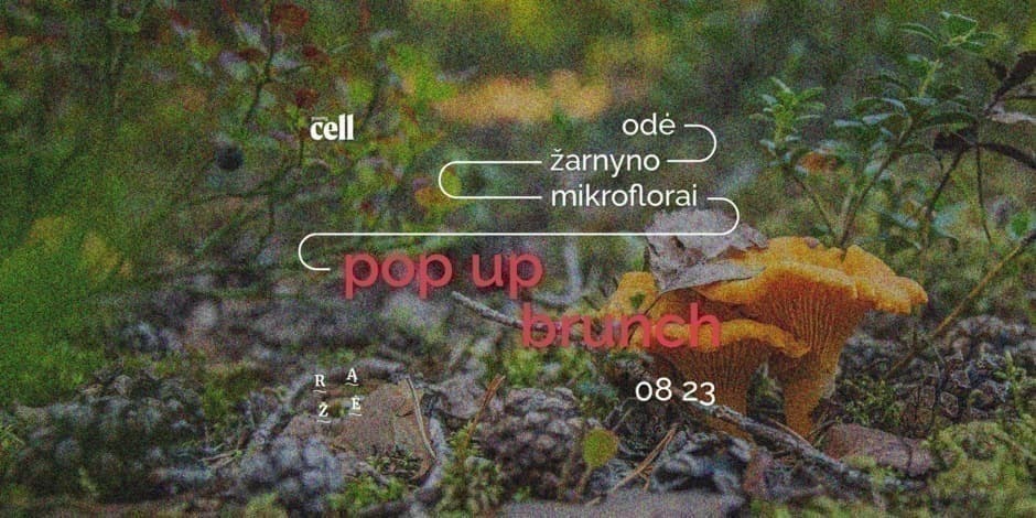 YOUNG CELL | Pop Up Brunch