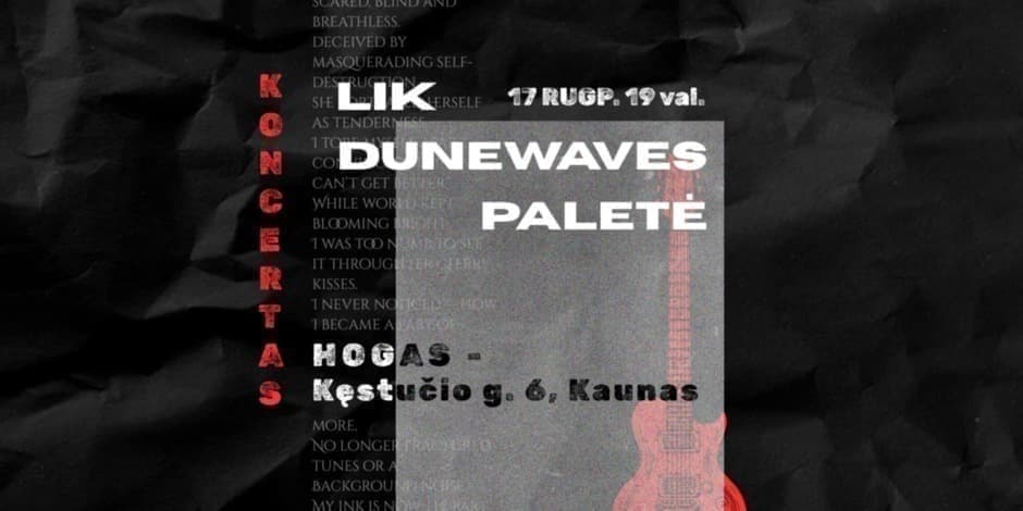 Lik, Dunewaves, Paletė koncertas