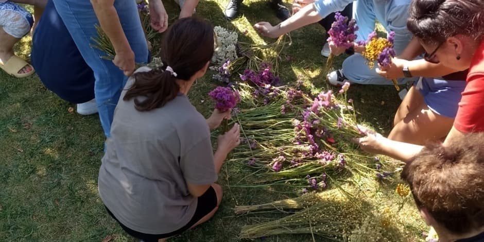 Žolynų dirbtuvės!