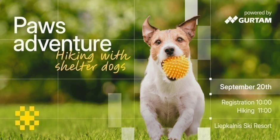Paws Adventure by Gurtam: Charity Hiking with Shelter Dogs