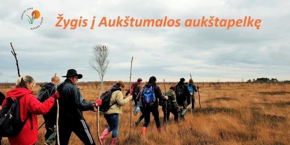 Žygis į Aukštumalos aukštapelkę