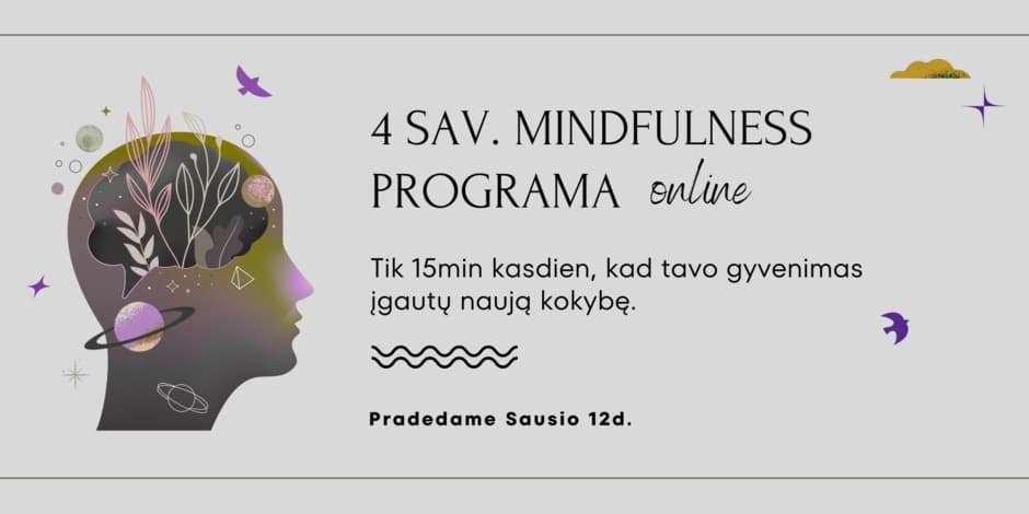 Mindfulness 4sav. Programa