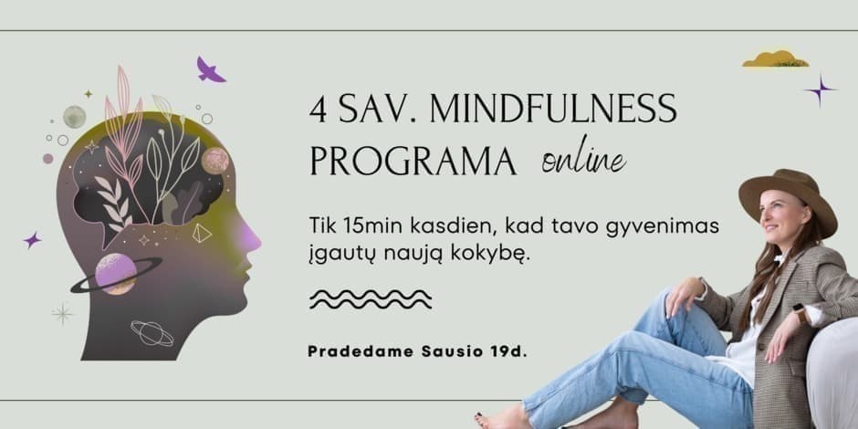 Mindfulness 4sav. Programa