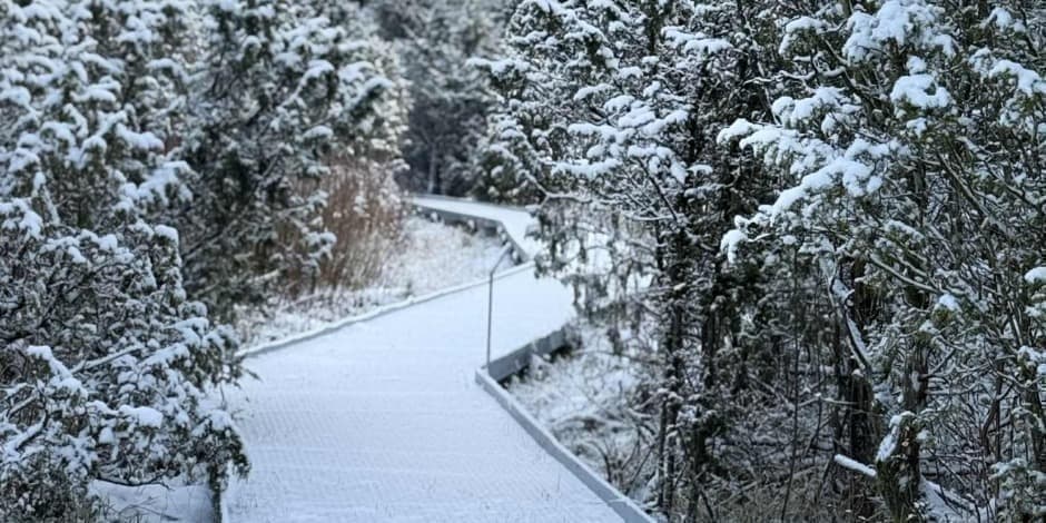 Pažintinės kelionės (ekskursijos) Šauklių riedulyno pažintiniame gamtos take