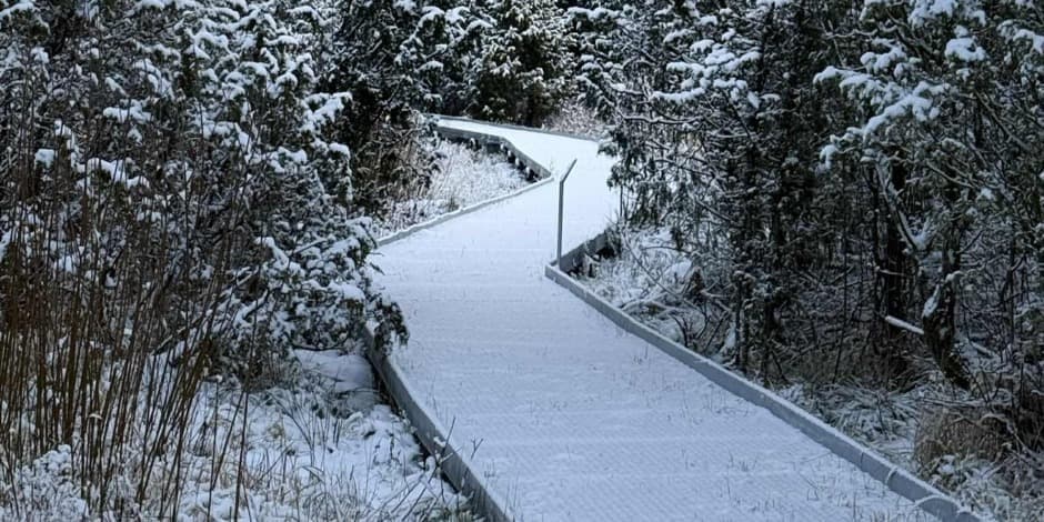 Žygis Šauklių riedulyno pažintiniame gamtos take