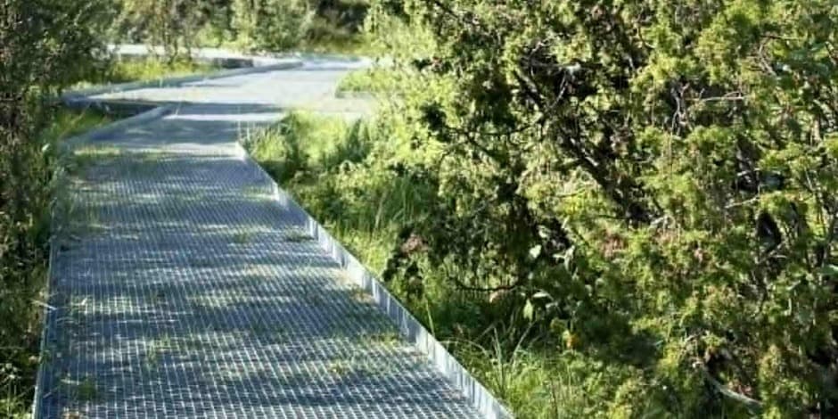 Žygis Šauklių riedulyno pažintiniame gamtos take