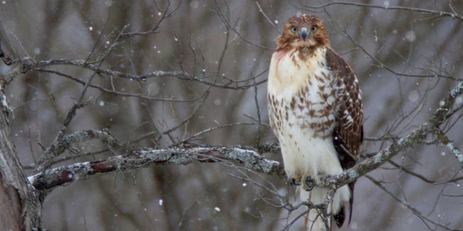 Kai visko perdaug: kaip stiprinti atsparumą stresui, įtampai ir nerimui