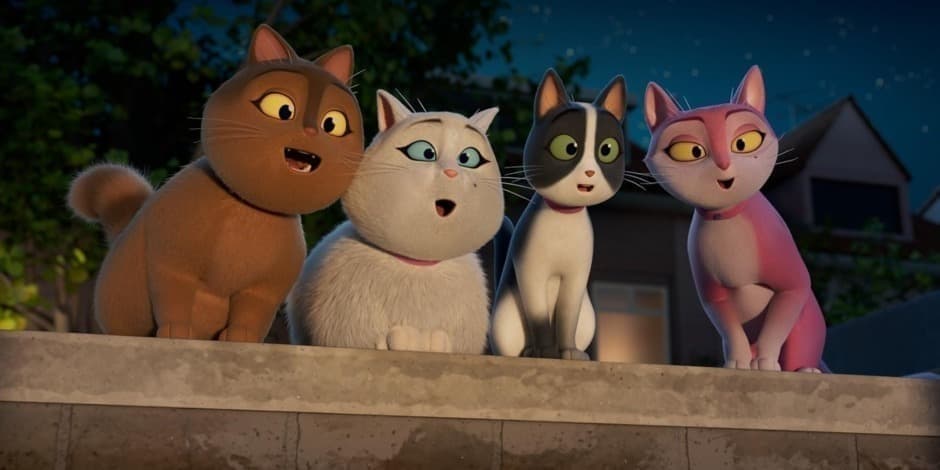 Katytė Moksi (2025)