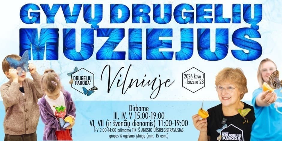 Gyvų drugelių muziejus (kambariai)