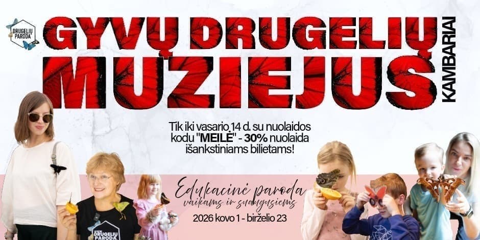 Gyvų drugelių muziejus (kambariai)
