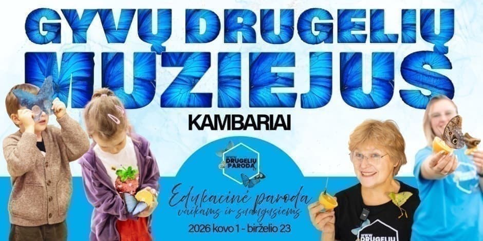 Gyvų drugelių muziejus (kambariai)