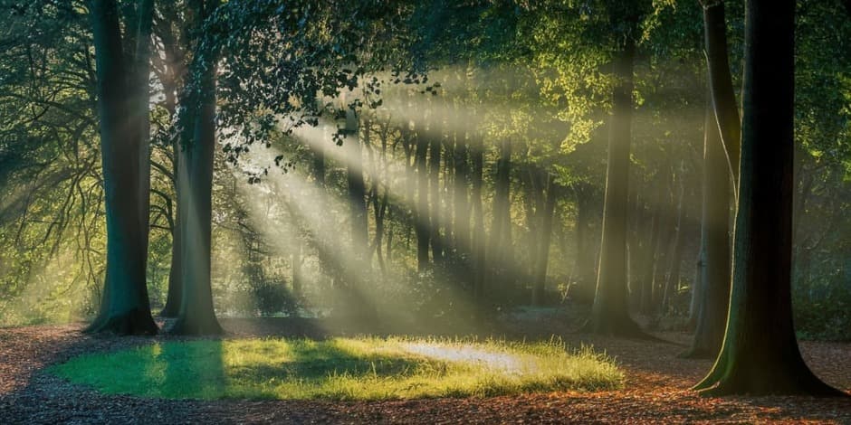 Достоевский: почему „мир спасёт красота“