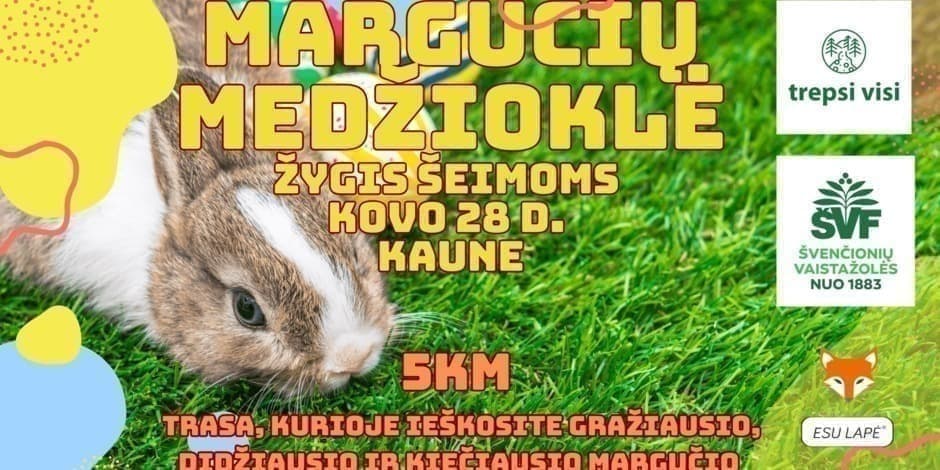 Margučių medžioklė - žygis šeimoms