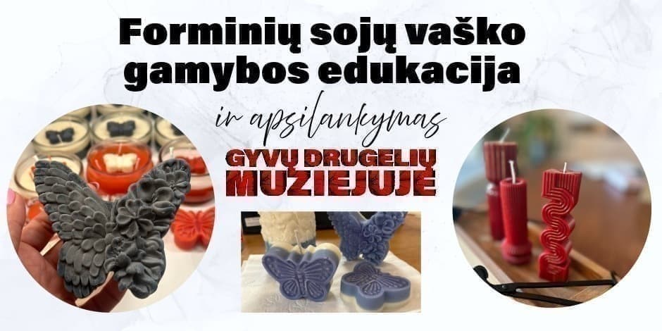 Forminių sojų vaško žvakių gamyba + apsilankymas Gyvų drugelių muziejuje