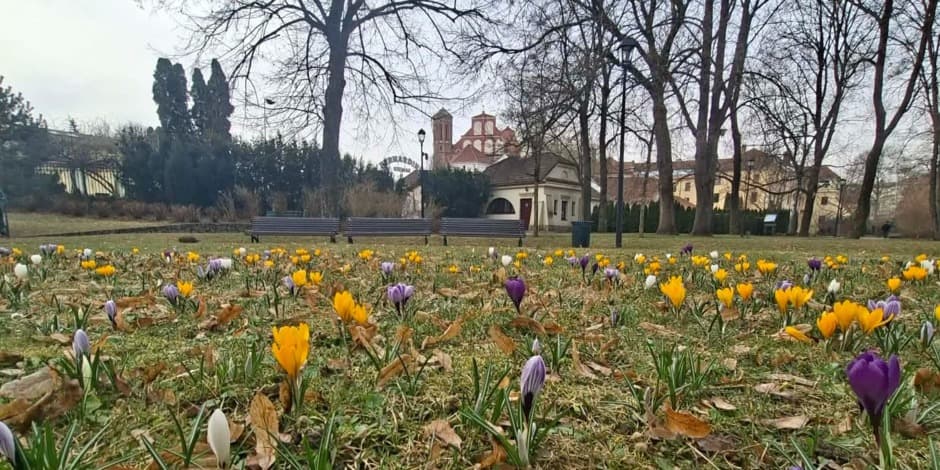 Ekskursija "Pavasario ženklai Bernardinų sodde"