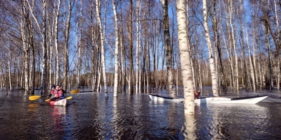 Žygis baidarėmis per Dauguvos upės užlietas pievas ir miškus!