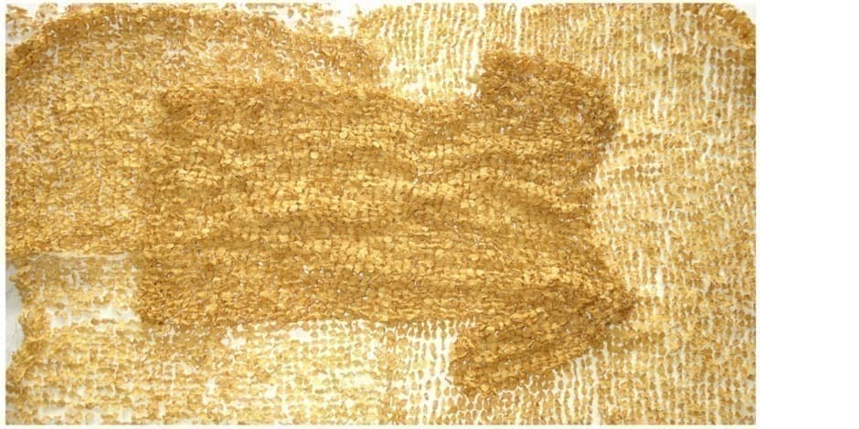 EKSKURSAS- susitikimas EGLĖS RAKAUSKAITĖS parodoje „TROŠKŪNŲ POKERIS’26“ su menininke