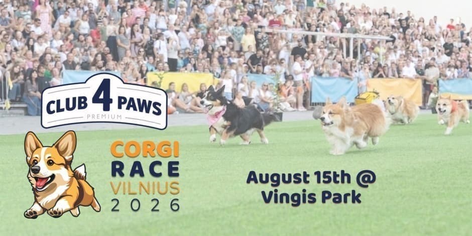Corgi Race Vilnius 2026