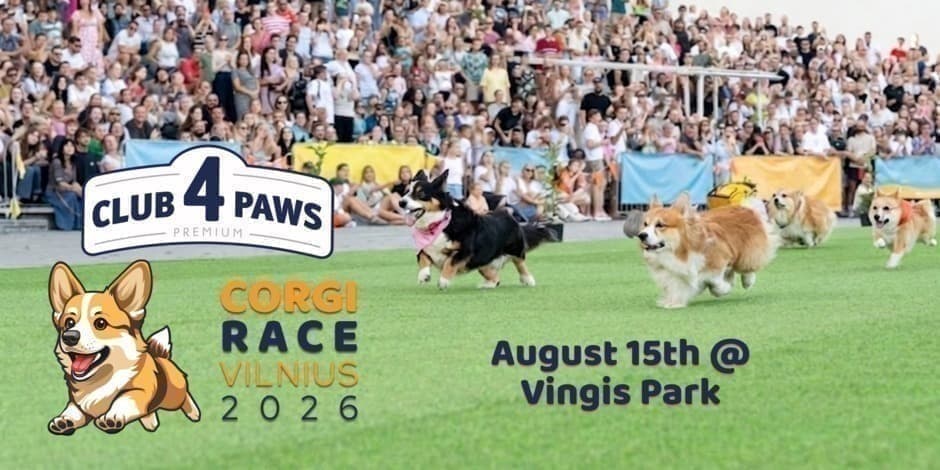 Corgi Race Vilnius 2026