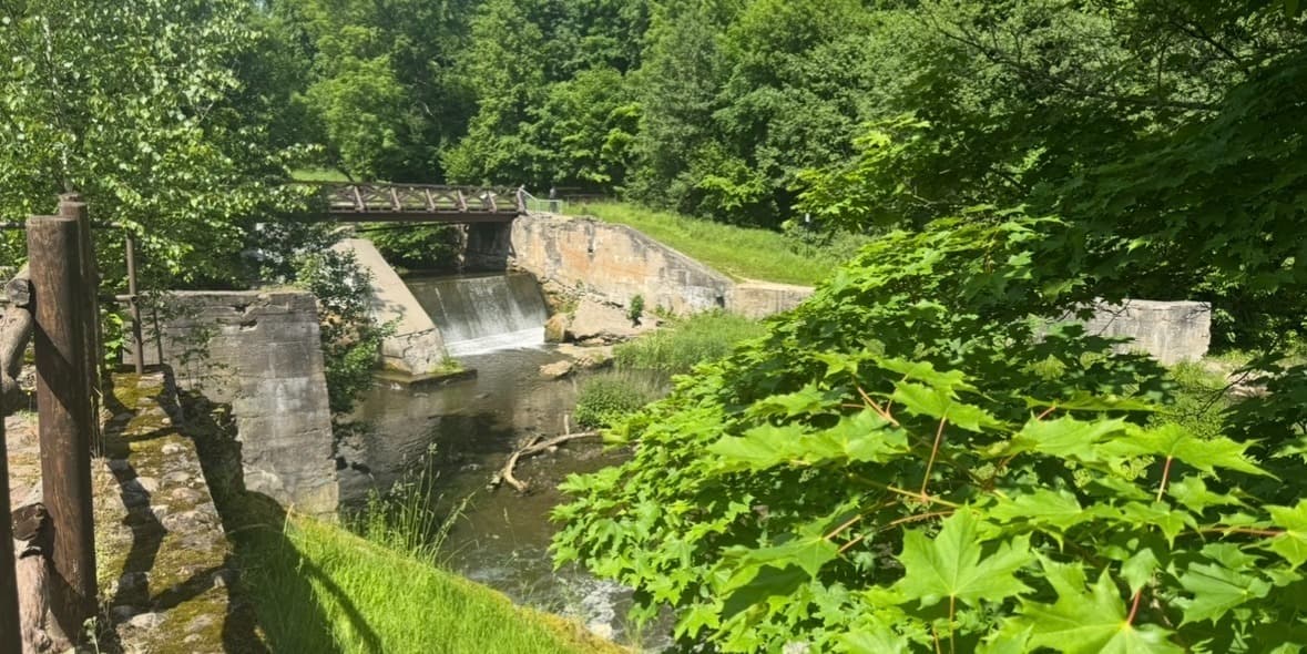 Hiking Tour along the Pūčkoriai Educational Trail and Surroundings, event in Vilnius